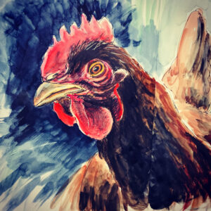 Huhn, unverkäuflich