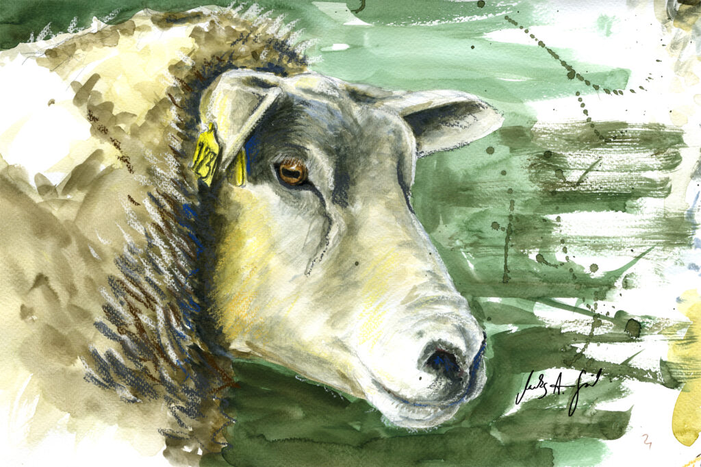Schaf, ca. 40 x 30 cm, 400 € ohne Rahmen